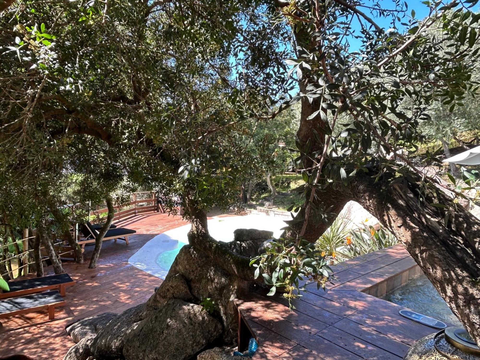 Chambre D'Hotes A Vadina Porticcio Porticcio  Bagian luar foto